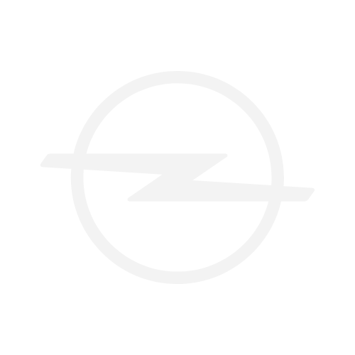 Opel Logo – elegante Vans, Kombis und SUVs